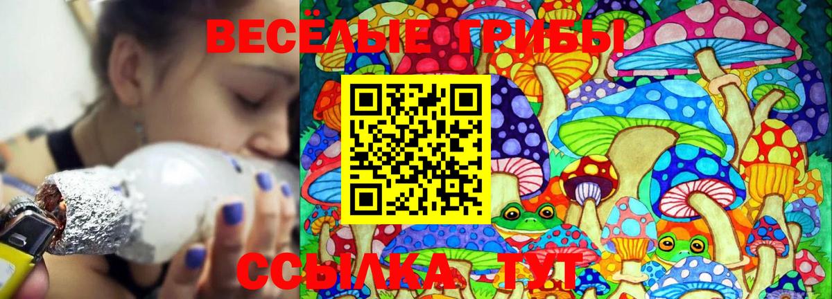 Псилоцибиновые грибы ЛСД Владивосток