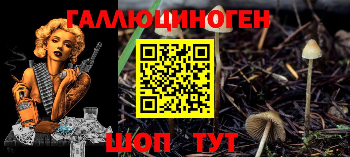 Псилоцибиновые грибы Psilocybine cubensis  Галлюциногенные грибы Psilocybe  где продают   Вход с VPN  Владивосток 